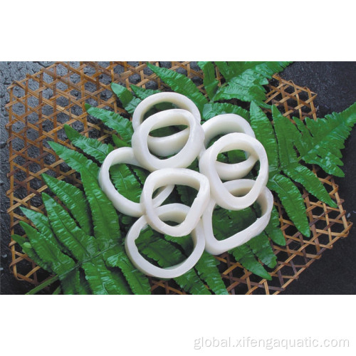North Pacific Squid Ring Frozen Food Raw Todarodes Squid Rings Manufactory